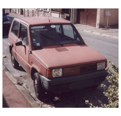 panda.JPG (61422 octets)